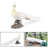 Maxbell Lifelike Peacock Figure Statue for Birthday Gift Indoor Outdoor Toy