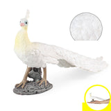 Maxbell Lifelike Peacock Figure Statue for Birthday Gift Indoor Outdoor Toy