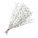 Maxbell Pistachio Simulation Stems Bouquet for Christmas Tree Indoor Outdoor