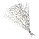 Maxbell Pistachio Simulation Stems Bouquet for Christmas Tree Indoor Outdoor