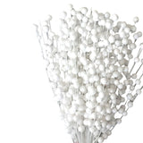 Maxbell Pistachio Simulation Stems Bouquet for Christmas Tree Indoor Outdoor