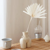 Maxbell 5 Pieces Dried Palm Leaves with Stem Large for Home Arrangement