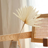 Maxbell 5 Pieces Dried Palm Leaves with Stem Large for Home Arrangement