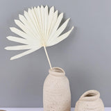 Maxbell 5 Pieces Dried Palm Leaves with Stem Large for Home Arrangement