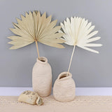 Maxbell 5 Pieces Dried Palm Leaves with Stem Large for Home Arrangement