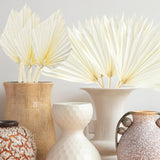 Maxbell 5 Pieces Dried Palm Leaves with Stem Large for Home Arrangement