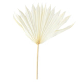 Maxbell 5 Pieces Dried Palm Leaves with Stem Large for Home Arrangement