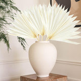 Maxbell 5 Pieces Dried Palm Leaves with Stem Large for Home Arrangement