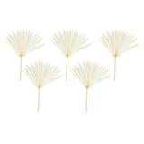 Maxbell 5 Pieces Dried Palm Leaves with Stem Large for Home Arrangement