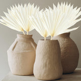 Maxbell 5 Pieces Dried Palm Leaves with Stem Large for Home Arrangement