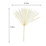 Maxbell 5 Pieces Dried Palm Leaves with Stem Large for Home Arrangement