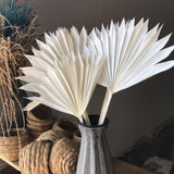 Maxbell 5 Pieces Dried Palm Leaves with Stem Large for Home Arrangement