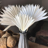 Maxbell 5 Pieces Dried Palm Leaves with Stem Large for Home Arrangement