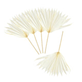 Maxbell 5 Pieces Dried Palm Leaves with Stem Large for Home Arrangement