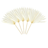 Maxbell 5 Pieces Dried Palm Leaves with Stem Large for Home Arrangement