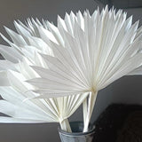 Maxbell 5 Pieces Dried Palm Leaves with Stem Large for Home Arrangement
