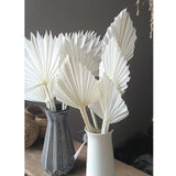 Maxbell 5 Pieces Dried Palm Leaves with Stem Large for Home Arrangement