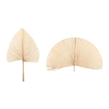 Maxbell Dried Palm Leaves Dried Flower for Window Reception Party Photo Props 50CM