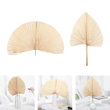 Maxbell Dried Palm Leaves Dried Flower for Window Reception Party Photo Props 50CM