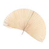 Maxbell Dried Palm Leaves Dried Flower for Window Reception Party Photo Props 50CM