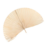 Maxbell Dried Palm Leaves Dried Flower for Window Reception Party Photo Props 50CM
