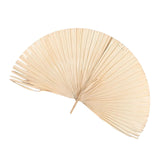 Maxbell Dried Palm Leaves Dried Flower for Window Reception Party Photo Props 50CM