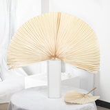 Maxbell Dried Palm Leaves Dried Flower for Window Reception Party Photo Props 50CM