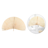 Maxbell Dried Palm Leaves Dried Flower for Window Reception Party Photo Props 50CM