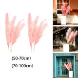 Maxbell 6Pcs Boho Dried Pampas Grass Party Phragmites Reed Flower for Vase Bouquet Length 110cm