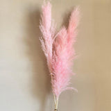 Maxbell 6Pcs Boho Dried Pampas Grass Party Phragmites Reed Flower for Vase Bouquet Length 110cm