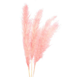 Maxbell 6Pcs Boho Dried Pampas Grass Party Phragmites Reed Flower for Vase Bouquet Length 110cm