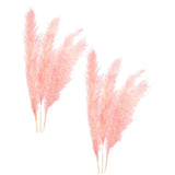 Maxbell 6Pcs Boho Dried Pampas Grass Party Phragmites Reed Flower for Vase Bouquet Length 110cm