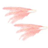 Maxbell 6Pcs Boho Dried Pampas Grass Party Phragmites Reed Flower for Vase Bouquet Length 110cm