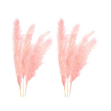 Maxbell 6Pcs Boho Dried Pampas Grass Party Phragmites Reed Flower for Vase Bouquet Length 110cm
