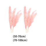 Maxbell 6Pcs Boho Dried Pampas Grass Party Phragmites Reed Flower for Vase Bouquet Length 110cm