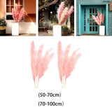Maxbell 6Pcs Boho Dried Pampas Grass Party Phragmites Reed Flower for Vase Bouquet Length 110cm
