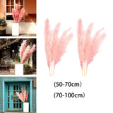 Maxbell 6Pcs Boho Dried Pampas Grass Party Phragmites Reed Flower for Vase Bouquet Length 110cm
