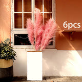 Maxbell 6Pcs Boho Dried Pampas Grass Party Phragmites Reed Flower for Vase Bouquet Length 120cm