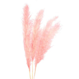 Maxbell 6Pcs Boho Dried Pampas Grass Party Phragmites Reed Flower for Vase Bouquet Length 120cm