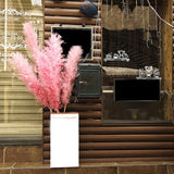 Maxbell 6Pcs Boho Dried Pampas Grass Party Phragmites Reed Flower for Vase Bouquet Length 120cm