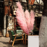Maxbell 6Pcs Boho Dried Pampas Grass Party Phragmites Reed Flower for Vase Bouquet Length 120cm