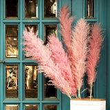 Maxbell 6Pcs Boho Dried Pampas Grass Party Phragmites Reed Flower for Vase Bouquet Length 120cm