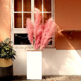 Maxbell 6Pcs Boho Dried Pampas Grass Party Phragmites Reed Flower for Vase Bouquet Length 120cm