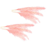 Maxbell 6Pcs Boho Dried Pampas Grass Party Phragmites Reed Flower for Vase Bouquet Length 120cm