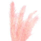 Maxbell 6Pcs Boho Dried Pampas Grass Party Phragmites Reed Flower for Vase Bouquet Length 120cm