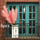 Maxbell 6Pcs Boho Dried Pampas Grass Party Phragmites Reed Flower for Vase Bouquet Length 120cm