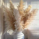 Maxbell Long Dried Pampas Grass Decor for Vase Fluffy bouquet Arrangement