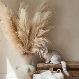 Maxbell Long Dried Pampas Grass Decor for Vase Fluffy bouquet Arrangement