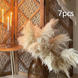 Maxbell Long Dried Pampas Grass Decor for Vase Fluffy bouquet Arrangement