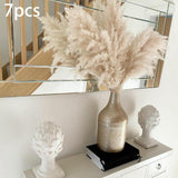 Maxbell Long Dried Pampas Grass Decor for Vase Fluffy bouquet Arrangement